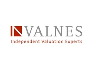 Valnes logo featuring the client of Big Idea Global